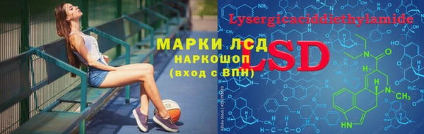 молекула духа Волоколамск