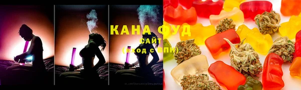 молекула духа Волоколамск