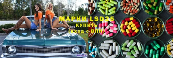 стафф Володарск