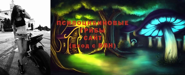 молекула духа Волоколамск